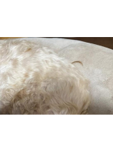 渋谷 FLAMINGO - ゆうなの女の子ブログ画像