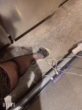 Felice(フェリス) - ねねの女の子ブログ画像