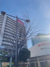 Felice(フェリス) - ねねの女の子ブログ画像