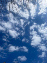 Felice(フェリス) - ねねの女の子ブログ画像