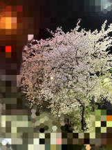 Felice(フェリス) - ねねの女の子ブログ画像