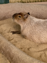 さくらん　関内 - みなみの女の子ブログ画像