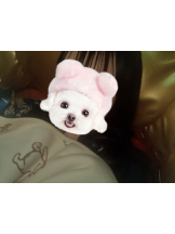 さくらん　関内 - みなみの女の子ブログ画像