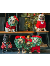 ぱいおにあ川崎店 - まきの女の子ブログ画像