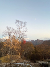 武蔵小杉 シュシュ - せいなの女の子ブログ画像