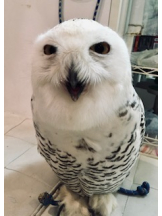 rejas(レジャス) - レイの女の子ブログ画像