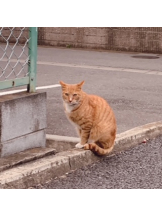 rejas(レジャス) - レイの女の子ブログ画像