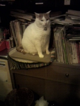 rejas(レジャス) - レイの女の子ブログ画像