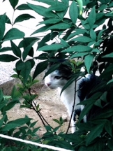 rejas(レジャス) - レイの女の子ブログ画像