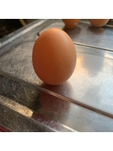 rejas(レジャス) - レイの女の子ブログ画像