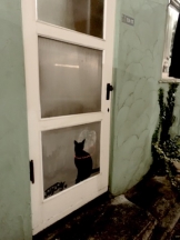 rejas(レジャス) - レイの女の子ブログ画像