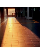 rejas(レジャス) - レイの女の子ブログ画像