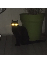 rejas(レジャス) - レイの女の子ブログ画像