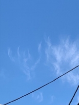 rejas(レジャス) - レイの女の子ブログ画像