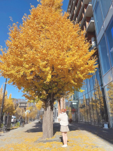 Candy kiss - なるの女の子ブログ画像