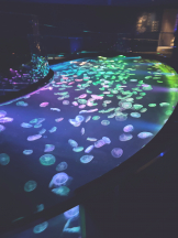 Candy kiss - なるの女の子ブログ画像