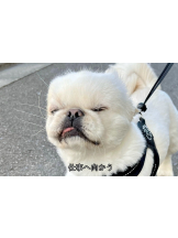 Candy kiss - なるの女の子ブログ画像