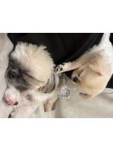 Candy kiss - なるの女の子ブログ画像