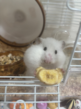 Candy kiss - なるの女の子ブログ画像