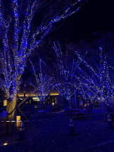 Candy kiss - あゆみの女の子ブログ画像