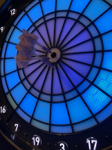 シナモン - ゆあの女の子ブログ画像