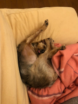 Ronno - モニカ～サンタモニカ出身～の女の子ブログ画像