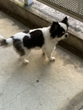 Ronno - モニカ～サンタモニカ出身～の女の子ブログ画像