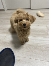 Ronno - モニカ～サンタモニカ出身～の女の子ブログ画像