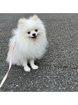 Ronno - モニカ～サンタモニカ出身～の女の子ブログ画像