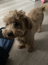 Ronno - モニカ～サンタモニカ出身～の女の子ブログ画像