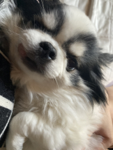 Ronno - モニカ～サンタモニカ出身～の女の子ブログ画像