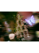 Club PiPi - まりかの女の子ブログ画像