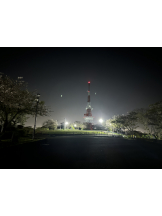 Club PiPi - ゆみの女の子ブログ画像