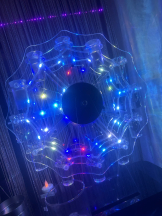 Alegria - りなの女の子ブログ画像