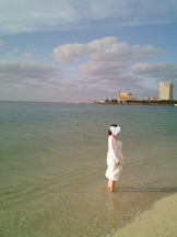 シナモン - きらりの女の子ブログ画像