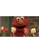 ZOOM - モニカの女の子ブログ画像