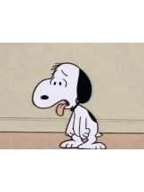 ZOOM - モニカの女の子ブログ画像