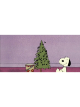 ZOOM - モニカの女の子ブログ画像