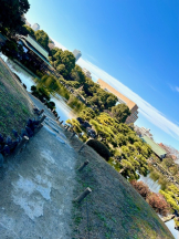 ZOOM - モニカの女の子ブログ画像