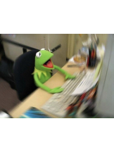 ZOOM - モニカの女の子ブログ画像