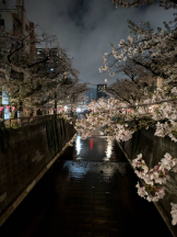 ZOOM - モニカの女の子ブログ画像