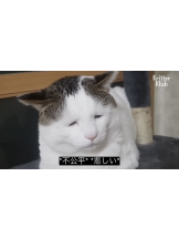 ZOOM - モニカの女の子ブログ画像