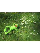 ZOOM - モニカの女の子ブログ画像