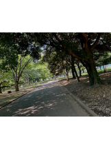 ZOOM - モニカの女の子ブログ画像