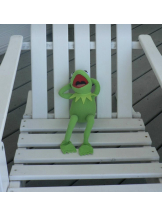 ZOOM - モニカの女の子ブログ画像