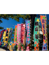 ZOOM - モニカの女の子ブログ画像