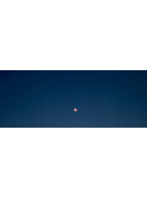 ZOOM - モニカの女の子ブログ画像