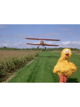 ZOOM - モニカの女の子ブログ画像