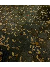 ZOOM - モニカの女の子ブログ画像