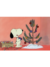 ZOOM - モニカの女の子ブログ画像